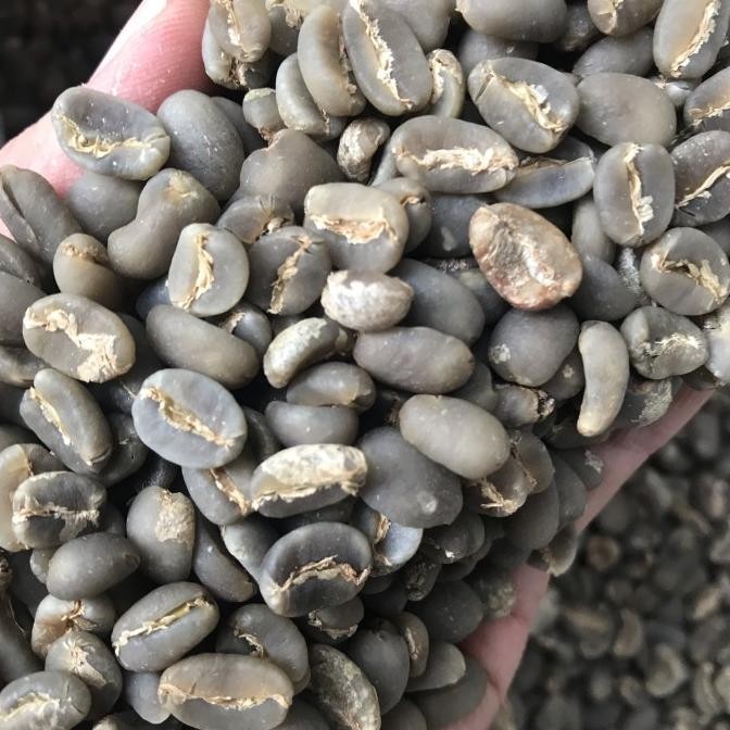 

Green Bean Gayo Arabika Wet Hulled