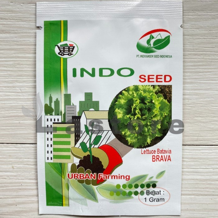 benih selada keriting brava lettuce batavia isi 1 gram indoseed