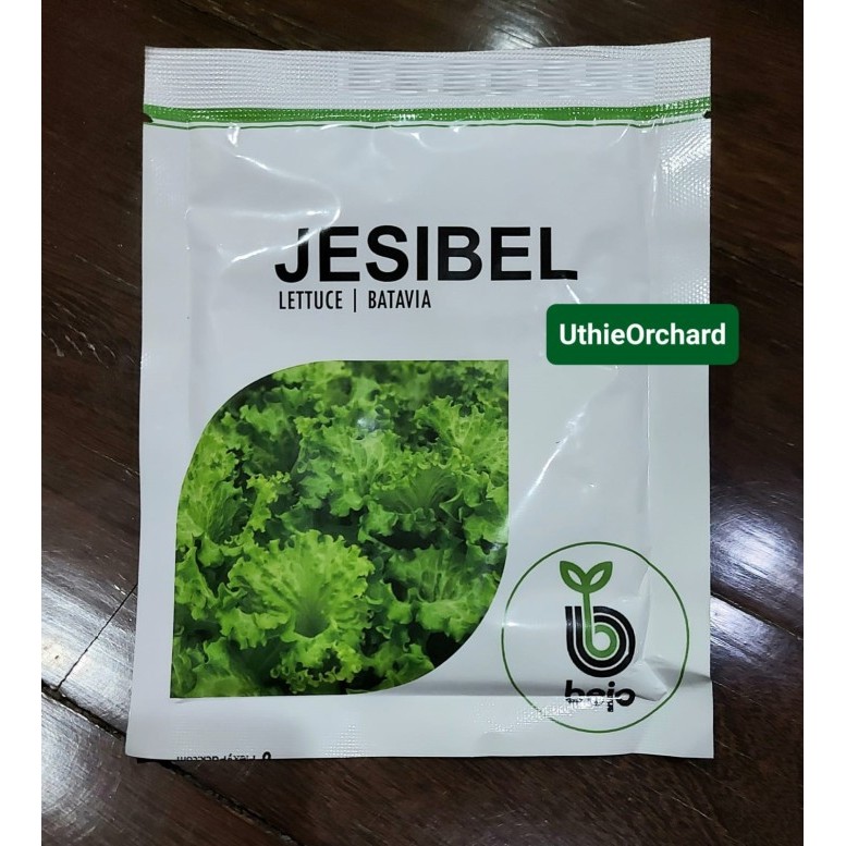 Benih Bejo Seed - Selada Batavia Jesibel Kemasan 1000 pills