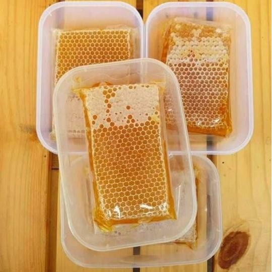 

Madu Sarang Murni 500gram Honeycomb Asli Original [terbaik]
