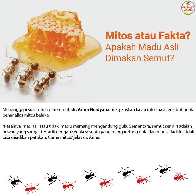 

Madu Asli Raw Honey Tirisan Madu Sarang Apis Cerana [terbaik]