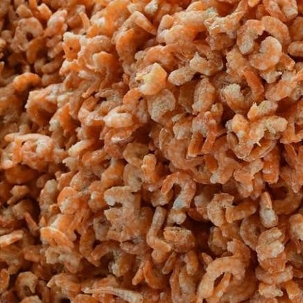 

Ebi Udang Kering 250 Gr Hebi Udang Kalimantan Bersih Kualitas