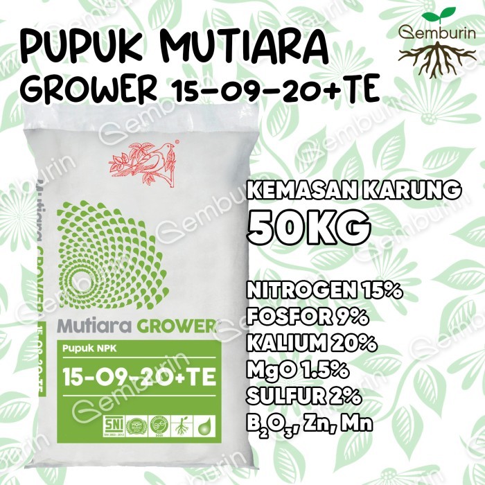 Pupuk NPK Mutiara Grower 15-09-20+TE Hijau KARUNG 50KG Kemasan ASLI PABRIK / Original Murah / Pupuk