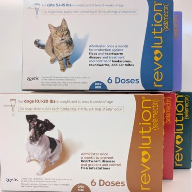 TERBARU - REVOLUTION CAT / REVOLUTION DOG / REVOLUTION TEAL / REVOLUTION BLUE