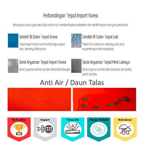 Kolam Terpal 200x100x50 Orchid Tebal | Terpal Kolam Ikan 2x1x05 Meter AS