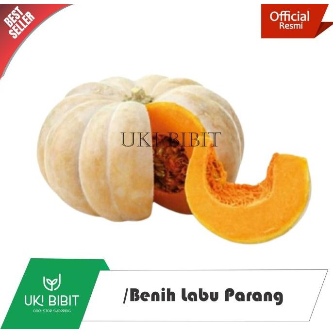 

( 100 Gram ) Benih Labu Parang Lokal COD