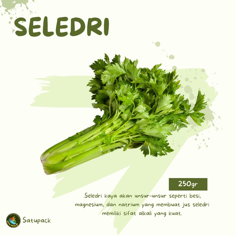 

DAUN SELEDRI SEGAR - 250gr