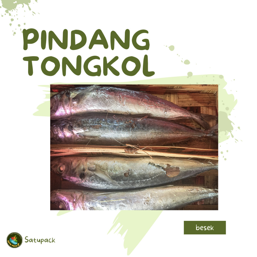 

PINDANG TONGKOL - 1 BESEK / ISI 2