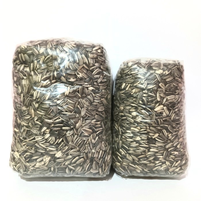 

Kuaci Hitam 1 Kg - Kwaci Hitam - Makanan Burung