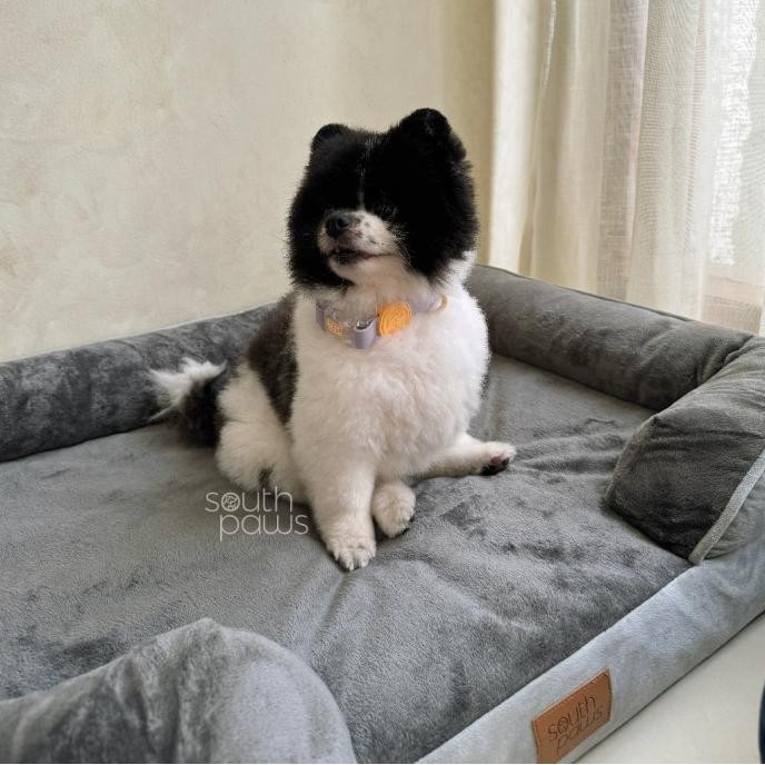 TERLARIS - Southpaws - Orthopedic Pet Bed