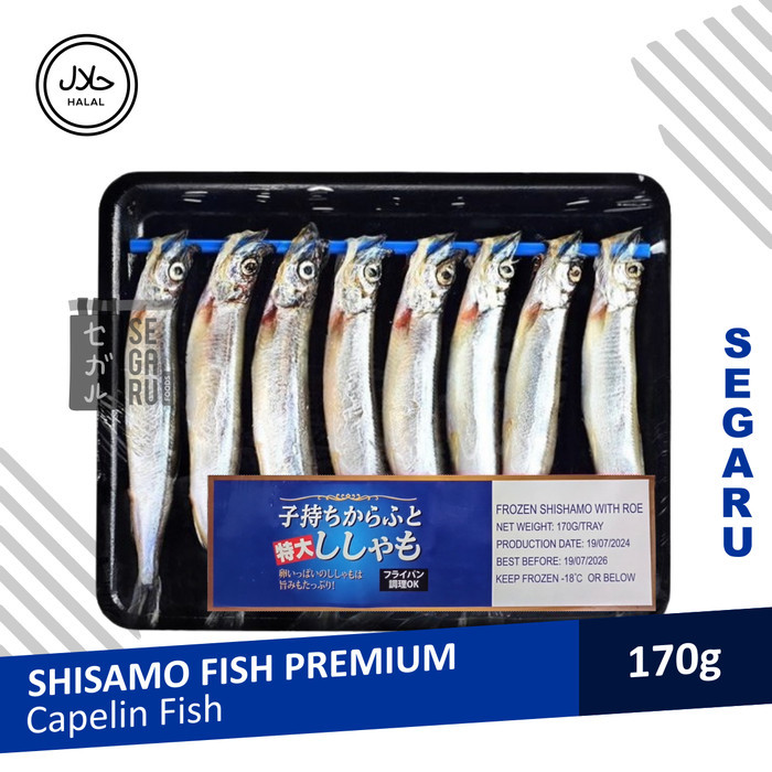 

Ikan Shishamo Fish Capelin Fish Premium Import Frozen