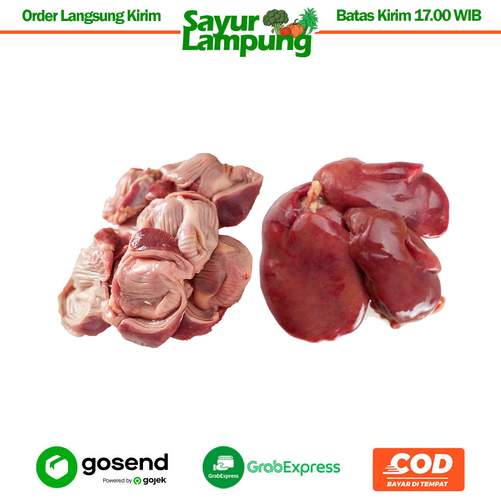 

Hati & Ampela Ayam Broiler 10 Pcs - Sayur Lampung