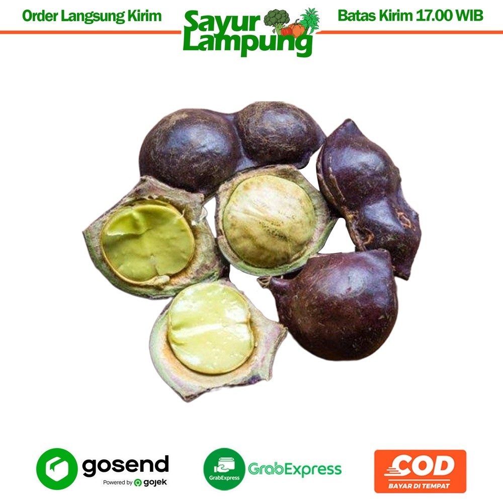 

Jengkol Muda/Lalap 250 Gr - Sayur Lampung