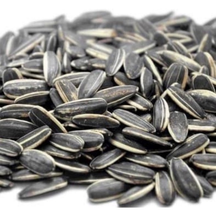 

KWACI BIJI MATAHARI JUMBO BERAT 1KG