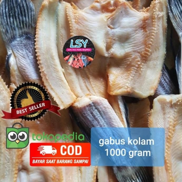 

Bisa Gosend ! ikan asin gabus kolam 1 kg