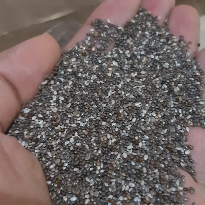 

Promo!! Premium Chiaseed / Chia Seed 1Kg