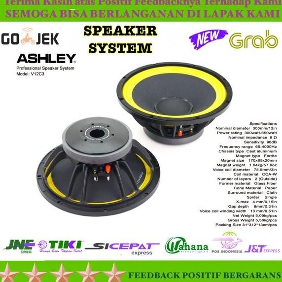 speaker system ashley v12c3 ORIGINAL 12INCH Top Seller