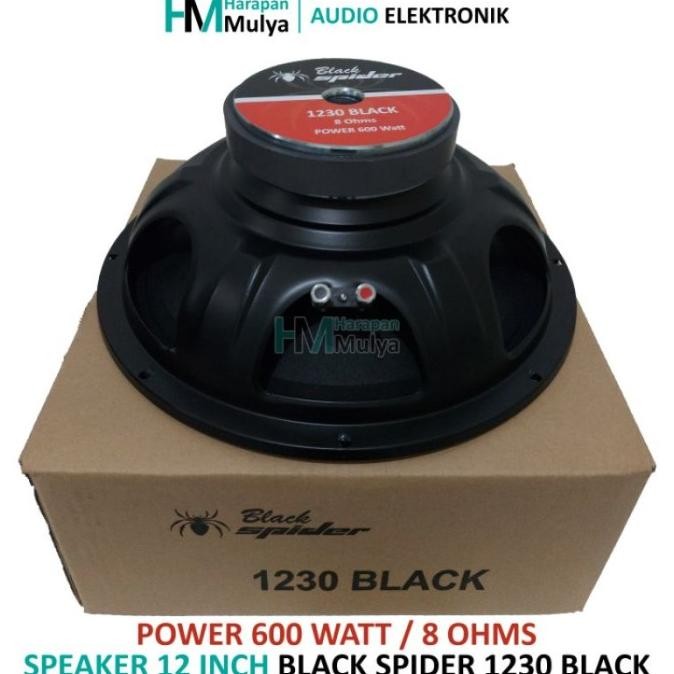 Populer Speaker Full Range 12" / Fullrange 12 inch Black Spider 1230