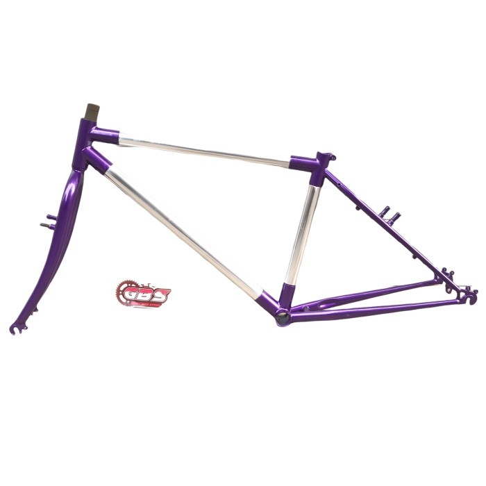 Frame Federal vintage / Touring Tokai NOS