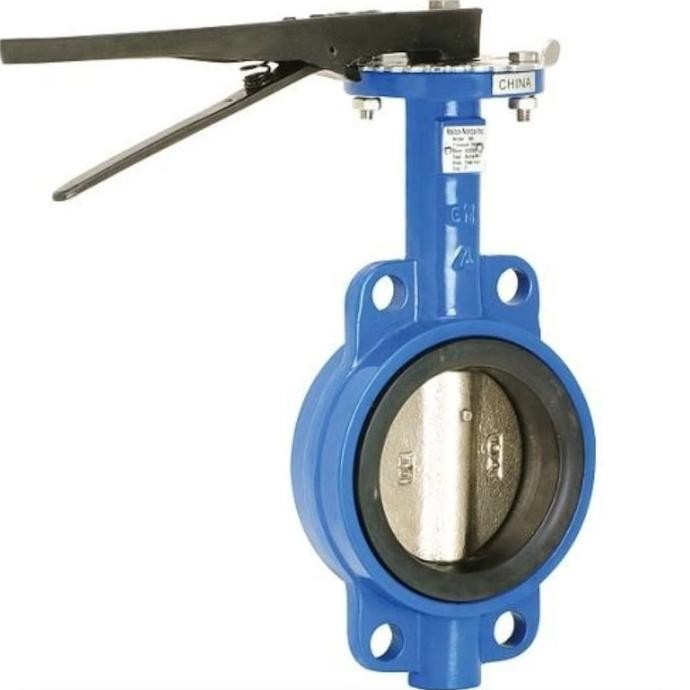 

2 1/2" Inch Butterfly Valve Cast Iron Terlaris