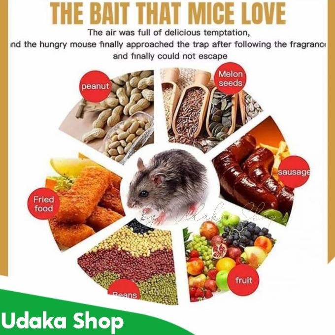 perangkap tikus massal