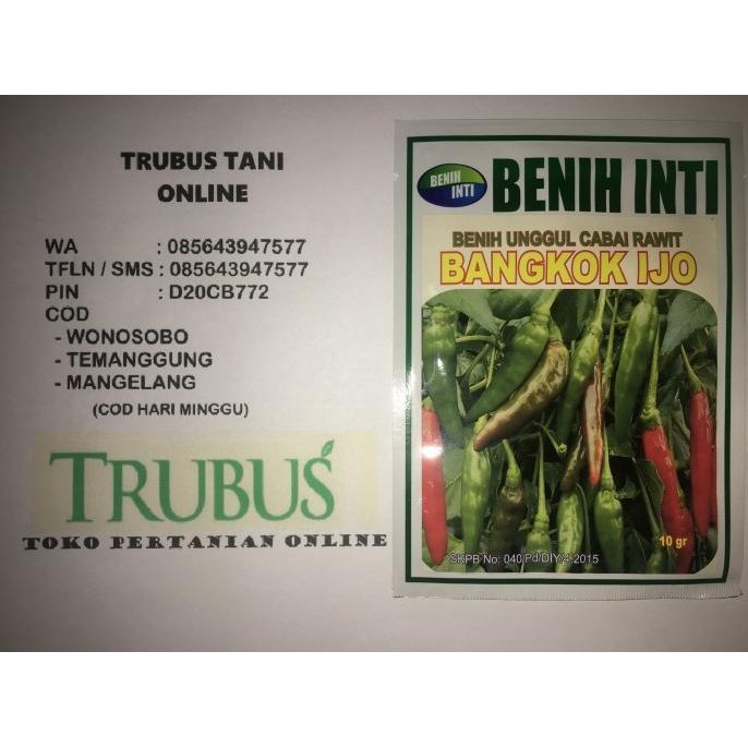 BENIH Cabe Rawit Hijau Unggul Bangkok Ijo +/- 2000 butir