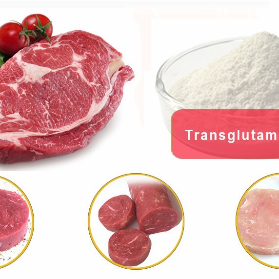Best Seller Transglutaminase Meat - Perekat Daging