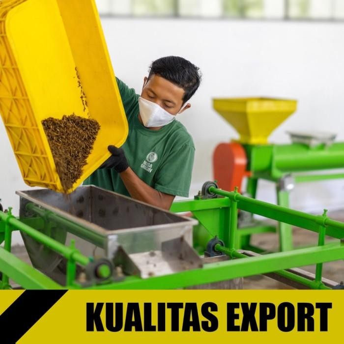 Maggot Nusantara Koi 500 Gr