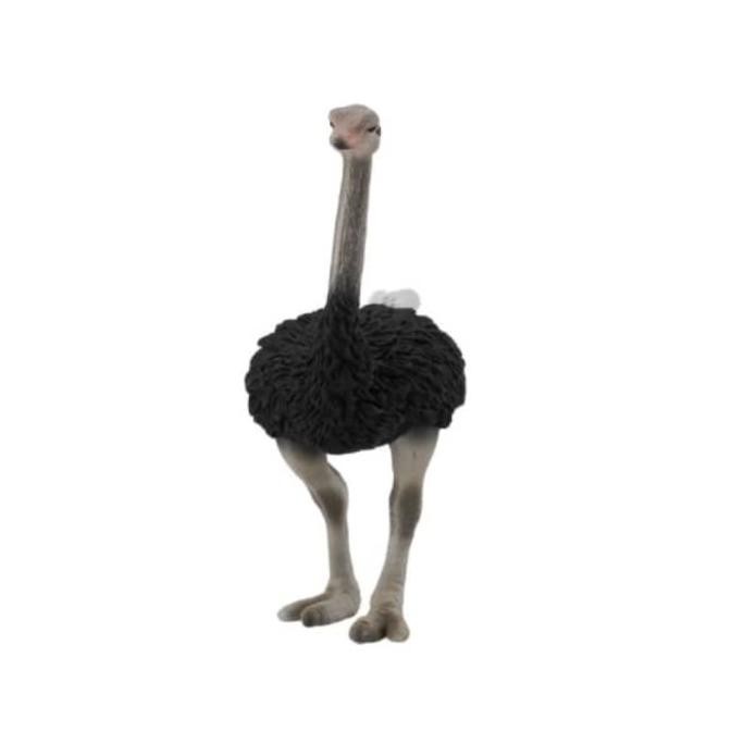 Collecta Figure Ostrich 88459