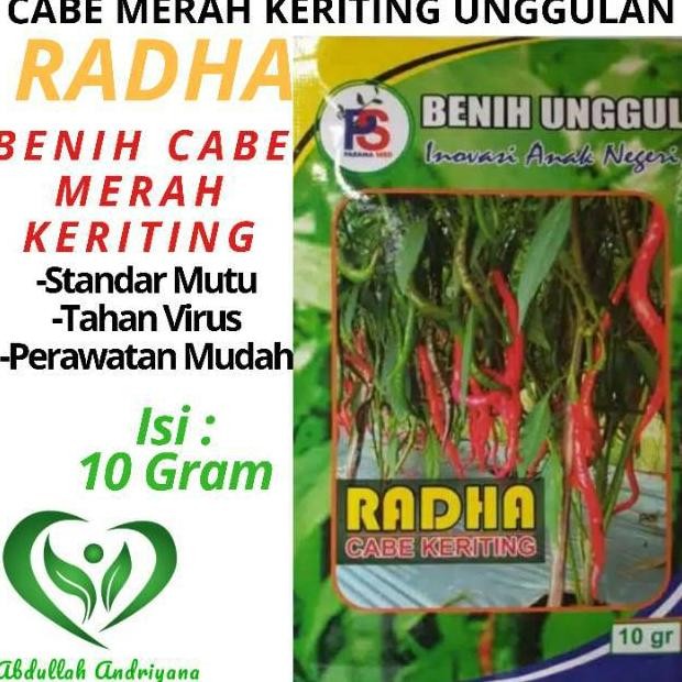 Kk - Benih Cabe Keriting Unggulan RADHA 10 Gr Bibit Cabe Keriting RADHA Berkualitas super
