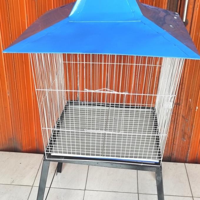 kandang burung beo jalak ayam kate dll