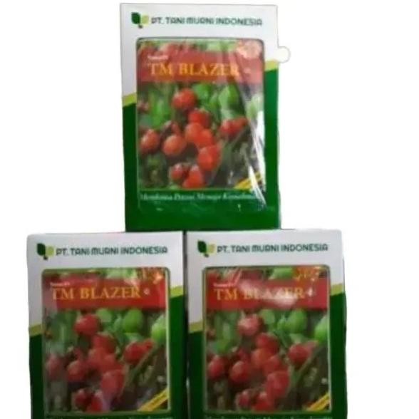 Tm Blazer 10Gr Bibit Benih Tomat Produk Original Pabrik