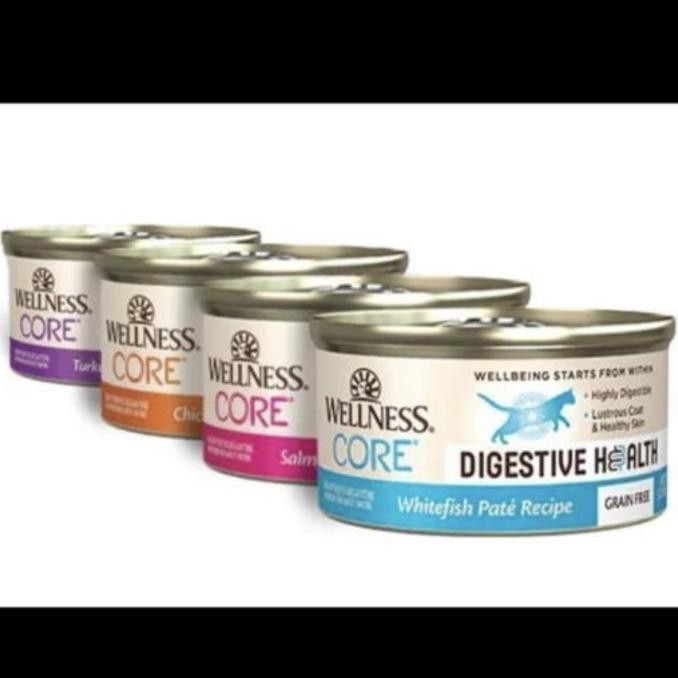 

WELLNESS CORE DIGESTIVE HEALTH PATE RECIPE CAT FOOD 3OZ. ORIGINAL