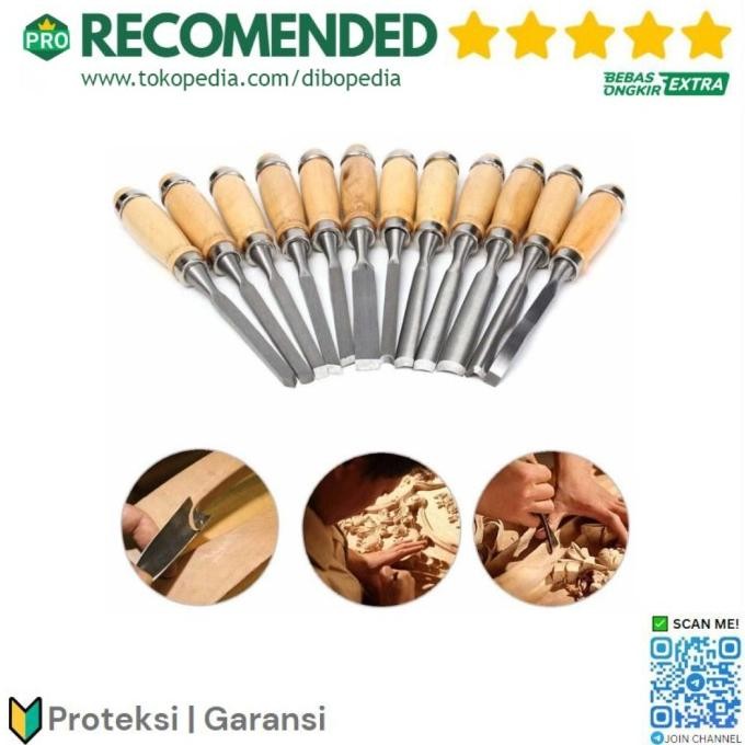 

Set Pisau Ukir Pahat Kayu 12 In 1 Wood Carving Art Knife - Oe12 Silver Original Dan Terpercaya