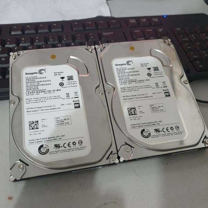 hardisk 250gb sata