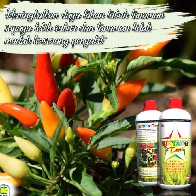 PUPUK BINTANG TANI - PUPUK NASA - POC NASA - NASA - ORIGINAL 100%