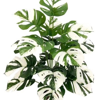 Tanaman Hias Plastik Monstera Variegata//Monstera Artificial Semilatex Ready