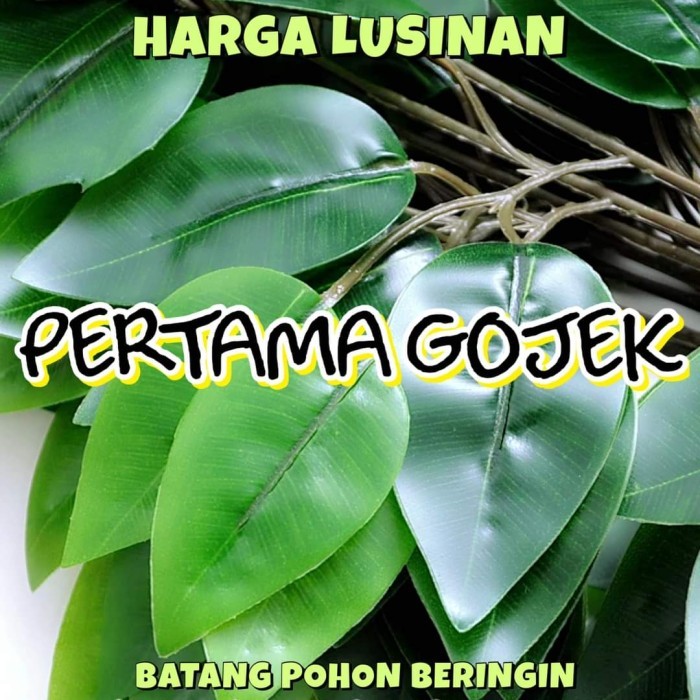 Daun Beringin Plastik/Daun Plastik/Bunga Plastik/Rumput Plastik/Dekor Promo