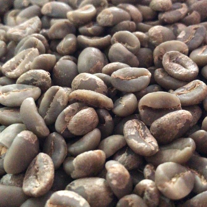 Terlaris greenbean biji kopi arabika Papua yahukimo