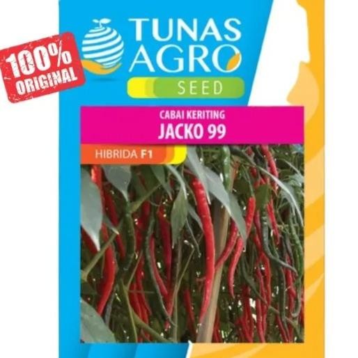 Jacko 99 10 Gr Benih Cabai Keriting Hibrida F1 Jacko 99 Tunas Agro 10