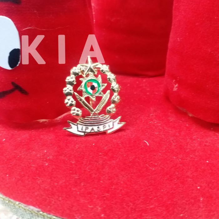 Pin IPASPI Peniti