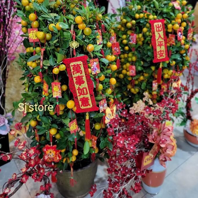 

Sale! Pohon jeruk imlek hoki chinese new year cny