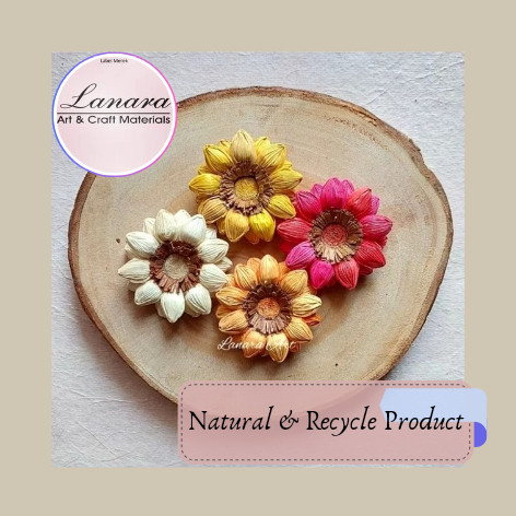 Bunga Klobot Matahari Kecil