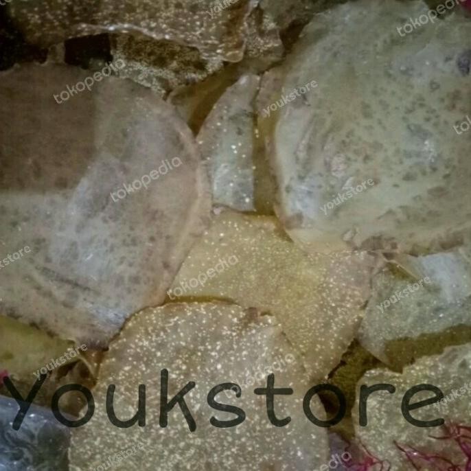 

NEW PRODUK EMPING JENGKOL ASLI 500GR !!!!!