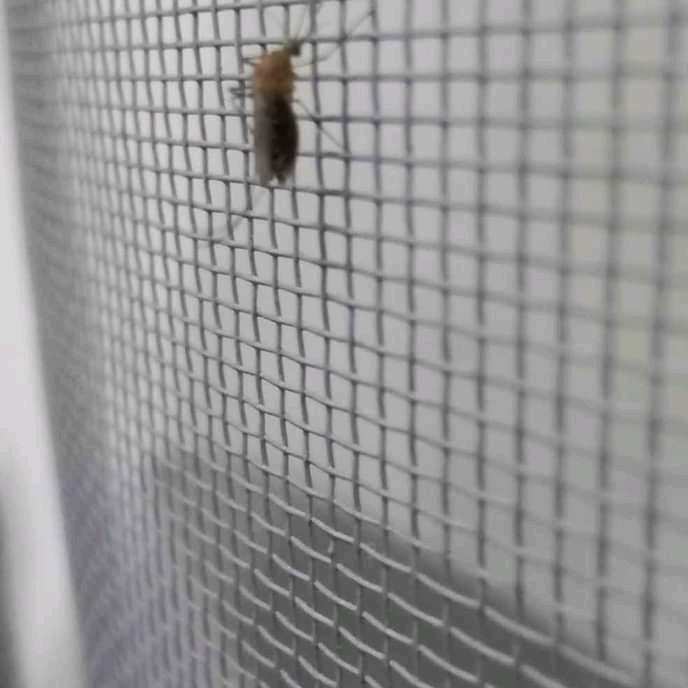 Ready Stock Anti Nyamuk-Kasa Nyamuk Loster/ Ram Anti Nyamuk