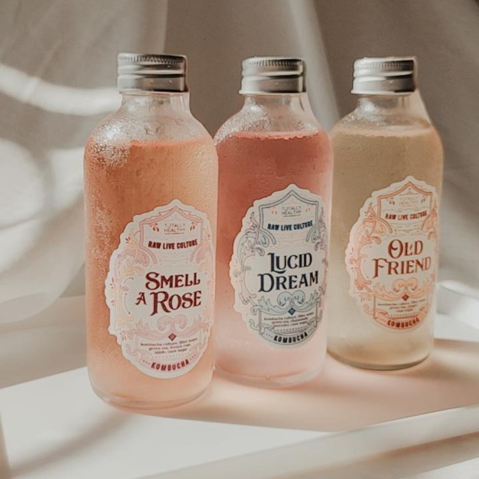 

kombucha probiotic tea by Totally Healthy