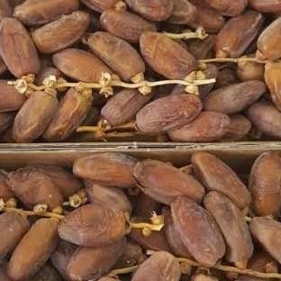 

Baru Kurma Palm Fruit Nour 500Gr/Palm Fruit Nour Murah