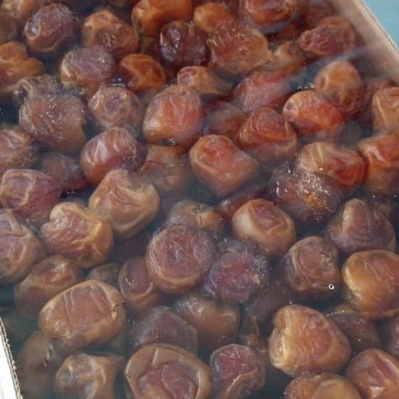 

Baru Kurma Sukari Per Dus Isi Kurang Lebih 3Kg - Sukari Alqossim