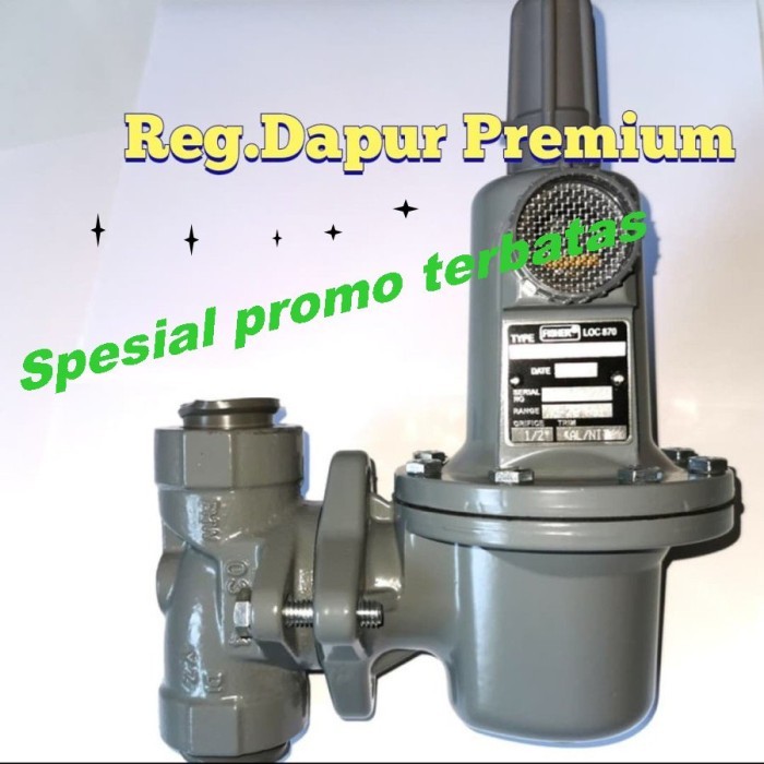 TERLARIS! Regulator Fisher 1" 627