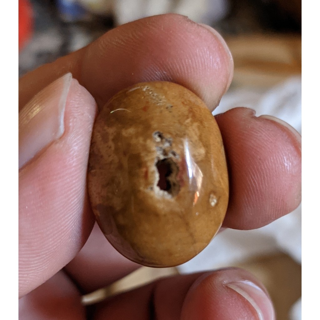 Natural Galih Kelor Combong Motif Angka 8 Aktif Bersinergi Siap Naik Ring Kolektor Item